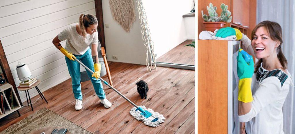 regular house cleaning service